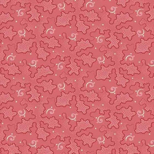 And-79188-001-Gingerlily