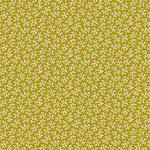 And-79190-004-Gingerlily